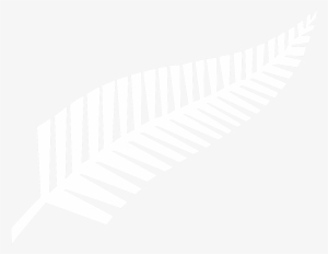 Silver Fern Flag - Silver Fern Logo Png