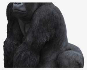 Gorilla Png Transparent Images - Vivid Arts 27.5cm Gorilla Resin Ornament - Xrl-grla-b