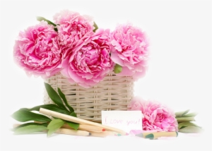 Gifs De Flores Com Fundos Transparentes, Flores Png, - Beautiful Pink Flower Basket