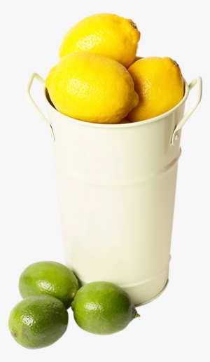 0 F7517 531118a7 Xxxl - Key Lime