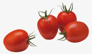 Plum Tomatoes - Plum Tomatoes Png