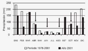 Precipitaciones Medias Mensuales De La Localidad De - Sheet Music