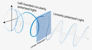 Polarization Is A Description Of The Orientation Of - Light