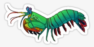 A Friendly Mantis Shrimp To Be Your Companion Throughout - Peacock Mantis Shrimp Cartoon