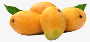 Mango Alphonso