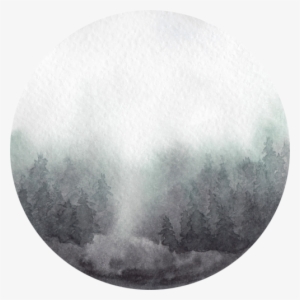 Into The Forest I Go To Lose My Mind And Find My Soul