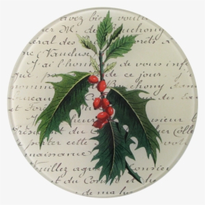 Holly Png