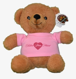 Rare Pic Teddy Bear