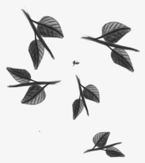 Tree Vector Free, Tree Png Plan, Tree Clipart, Tree - Tree