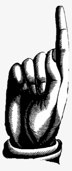 Finger Pointing Edition Odd Mccain Had No Brain Acted