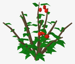 Redberry Bush Runescape Wiki Fandom Powered By - Berry Bush Transparent Background