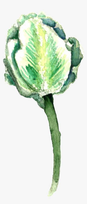 The Transparent Hand-painted Plants - Art