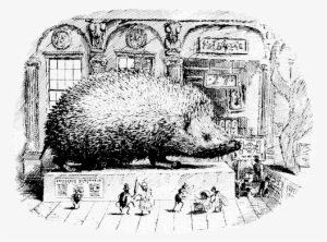 How Well Do You Know Your Hedgehog - Hedgehog