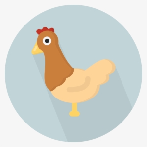 Chickens Clipart Tail - Chicken Flat Icon Png