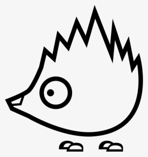 Hedgehog Comments - Zoo