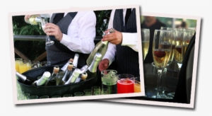 Bartenders - Bartender