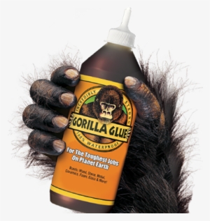 449 - Gorilla Glue On Hair