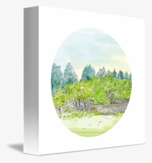 Trees In Park With Cornwall Oval Watercolor By Aloysius - Watercolor Painting