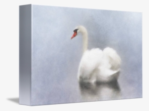 Swan Watercolor - Watercolor Painting