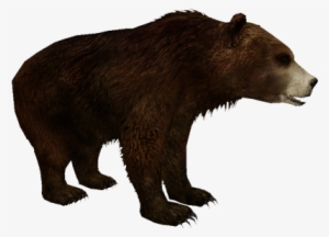 Cave Bear - Kodiak Bear Zt2