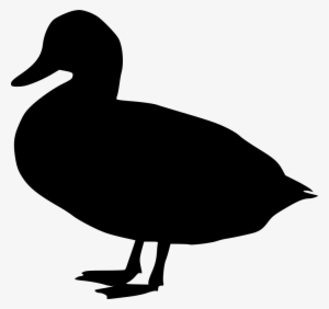 Duck Comments - Duck Svg