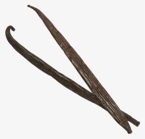 Vanilla Bean Png Pic - Vanilla Bean Png