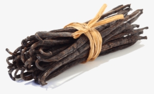 Stack Of Vanilla Beans - Obsessed By Calvin Klein