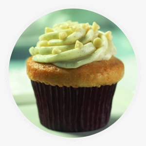 Vanilla Bean - Dream Factory Vanilla Bean Medium Cupcake