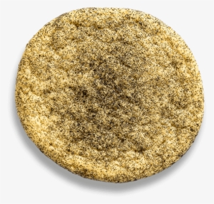 Vanilla Bean - Vanilla