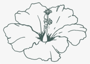 No-churn Mango Vanilla Bean Ice Cream - Jam