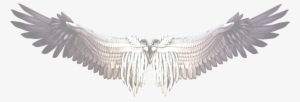White Wings Png