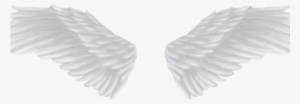Angel Wings Png - Portable Network Graphics