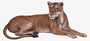 Lioness Download Transparent Png Image - Wandsticker Dschungelwelt Safari Löwin Von Walls