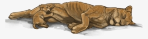 Lionessday " - Jpeg