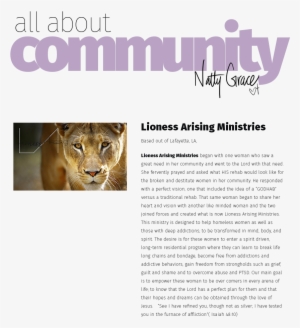 Note Cards (pk Of 20)