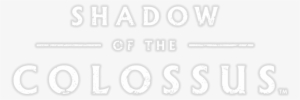Playstation Flow Banner - Shadow Of The Colossus Pre Order Bonus
