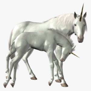 Unicorn Png Image Library - Unicorn Png Deviantart