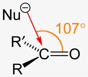 Burgi Dunitz Angle 2d - Protopine Bürgi Dunitz