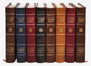 Bookshelf Nt Excl - Clip Art