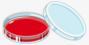 Download The Image - Circle