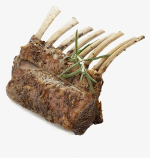 Broil King Lamb Recipes - Recipe