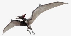 Pteranodon - 5" Jurassic World Party Napkins, Pack Of 16