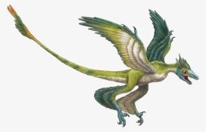 Enter Image Description Here - De Microraptor