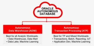 Of The Oracle Autonomous Database Family, Combining - Oracle Autonomous Transaction Processing