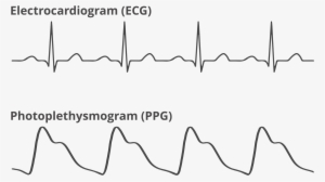 Reading The Data - Data