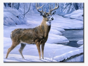 Deer Hunting Canvas Wall Art - Deer In Forest Winter