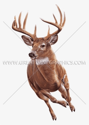 Buck Running