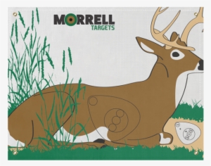 Morrell Paper Archery Target 3 Spot Pack