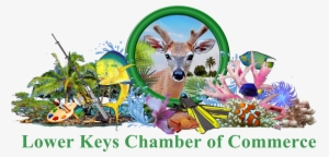 Parent Directory - Key West