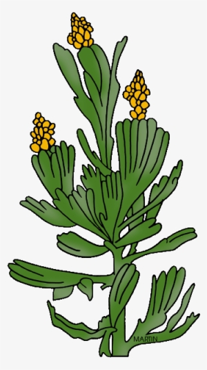 Nevada Clipart Nevada State